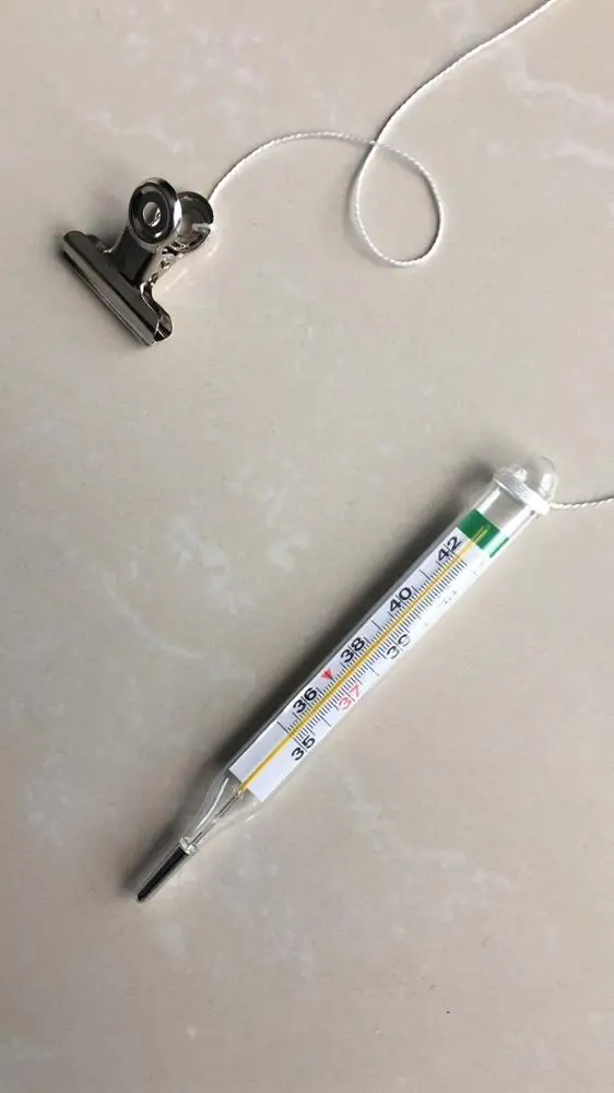 Недорогой ветеринарный клинический цифровой термометр без ртути для рекламы