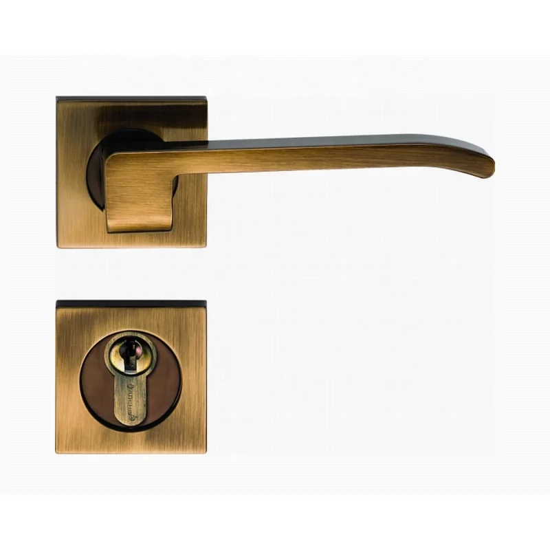 Zinc Alloy Anti Bacterial Mortise Lever Handle Door Lock