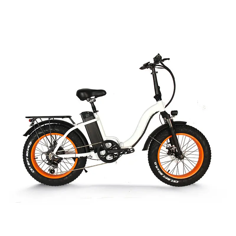 Adn-Ftc300 48v 10.5ah New Model Electric Bicycle Transmission 7 Speed Bicicletta Mtb Alu Alloy Ebike Elektrofahrrad