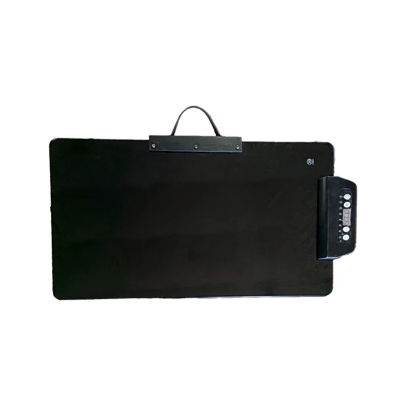Food Heating Plate Keep Preheated Restaurant Kitchen  Warming Tray with Temperature Regulation