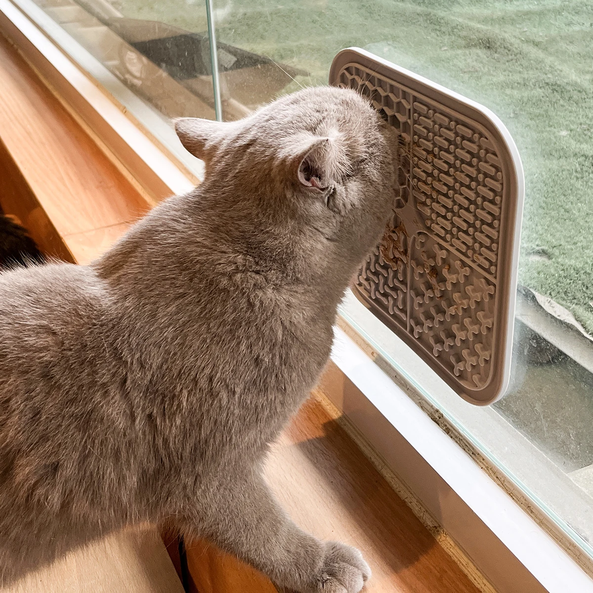 Горячая Распродажа коврик для собачьих лапок экологичный силиконовый ласки домашних животных с медленной