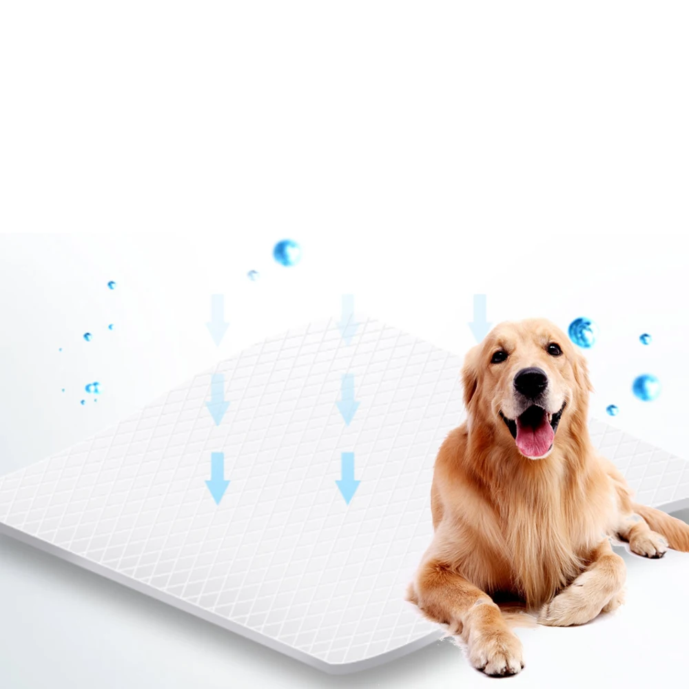Cheap price free sample wholesale disposable puppy dog pee training pet pad