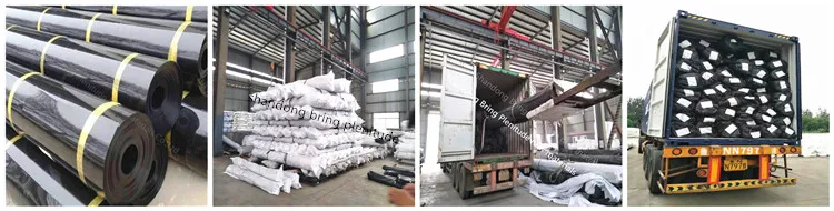 1.geomembrane+86 17864292783
