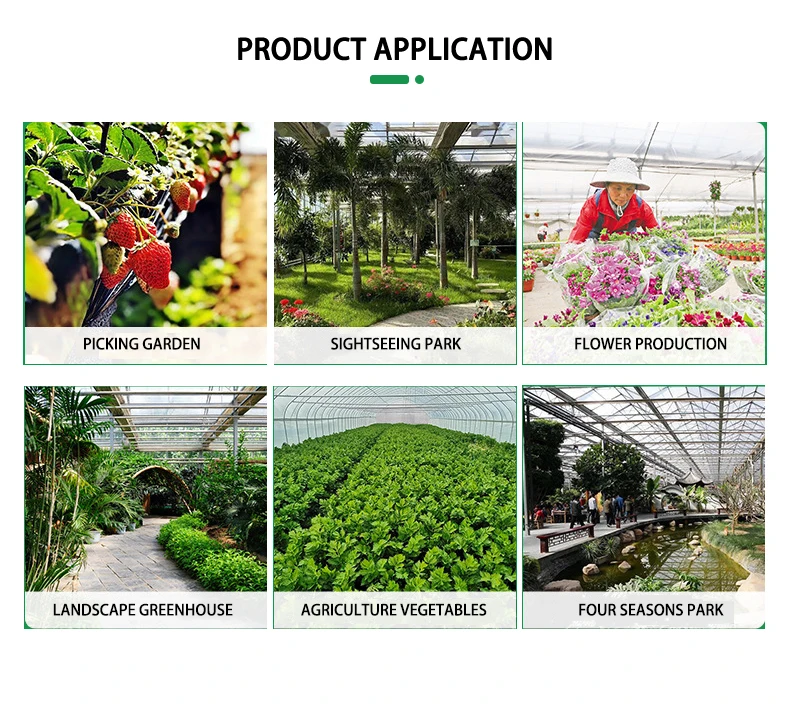 Commercial Hydroponic Glass Pc Sheet photovoltaic Multi span Greenhouse with Tomato Growing System Large