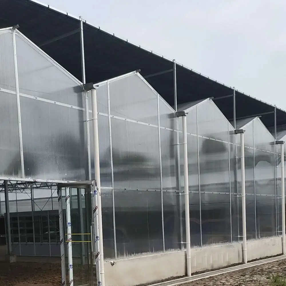 Hydroponics Greenhouses Greenhouse Supplier Polycarbonate Sheet Greenhouse for vegetables