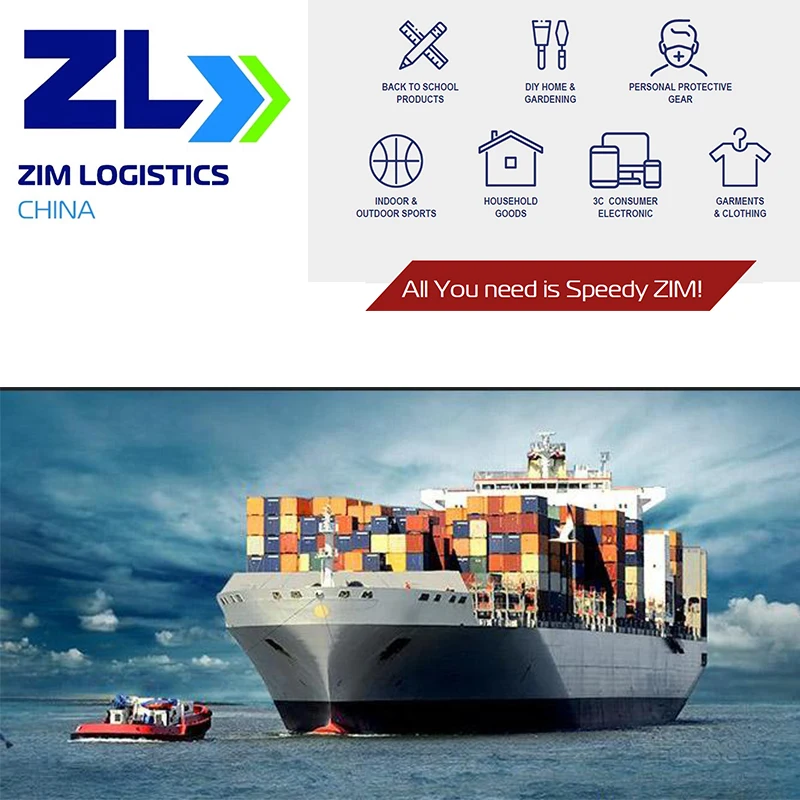ZLC China Freight Company Fast FCL OEM Dropshipping From China To Spain Italy France Mediterranean Logistics