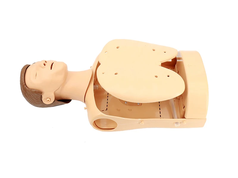 Medical Emergency Training Used Simple Human Half Body CPR Training Manikin 185