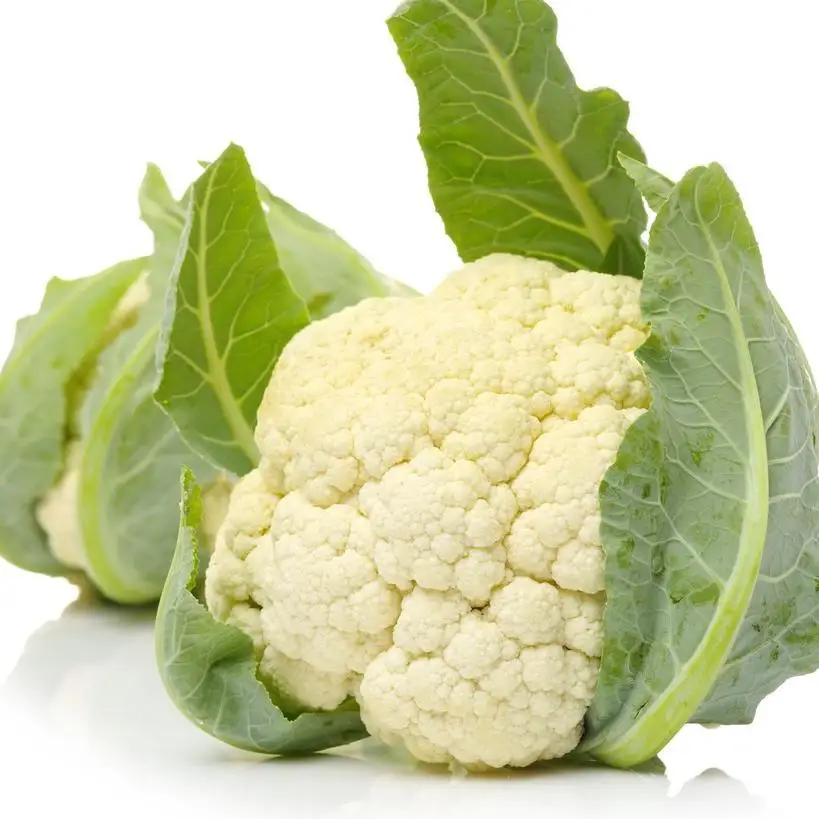 The most popular organic cauliflower, welcome to wholesale