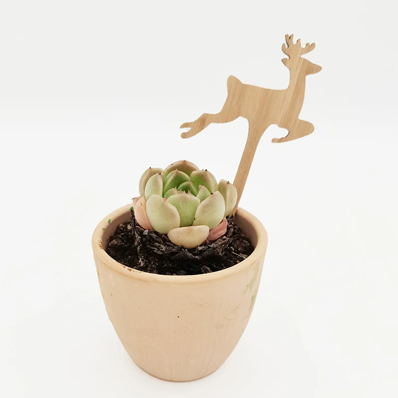 Custom Garden Label Bamboo Wood Laser Cutting Tag Bamboo Material Eco Bamboo Plant Tag Cute Plant Tags Garden Markers