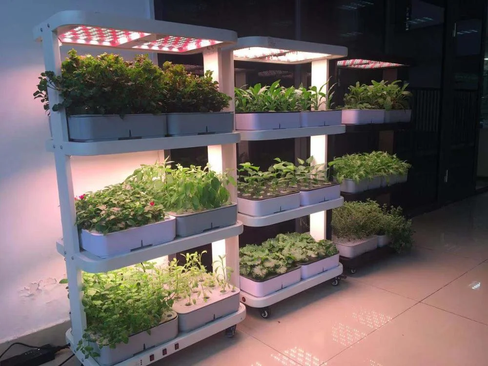 14 hours on 10 hours off timer 72 holes plant rack growing hydroponics indoor grow plant cabinet