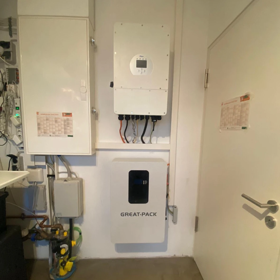 Hot Selling in European Market 51.2V 100AH 5.12KWH Lifepo4 Battery Energy Storage Battery for Home