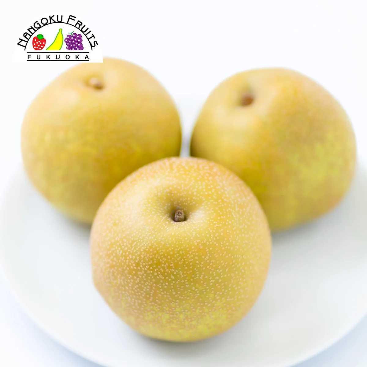 Nice cost performance reasonable price pear other fresh fruit