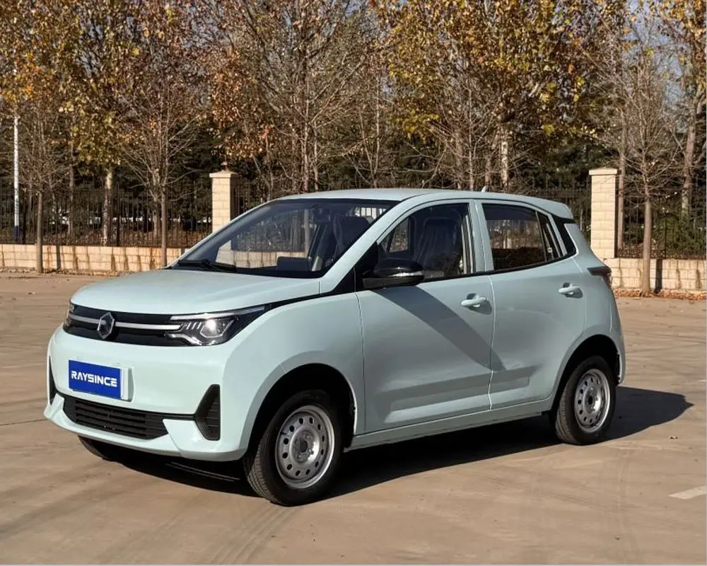 Raysince Right Hand Drive Electric Smart Car for Teenagers