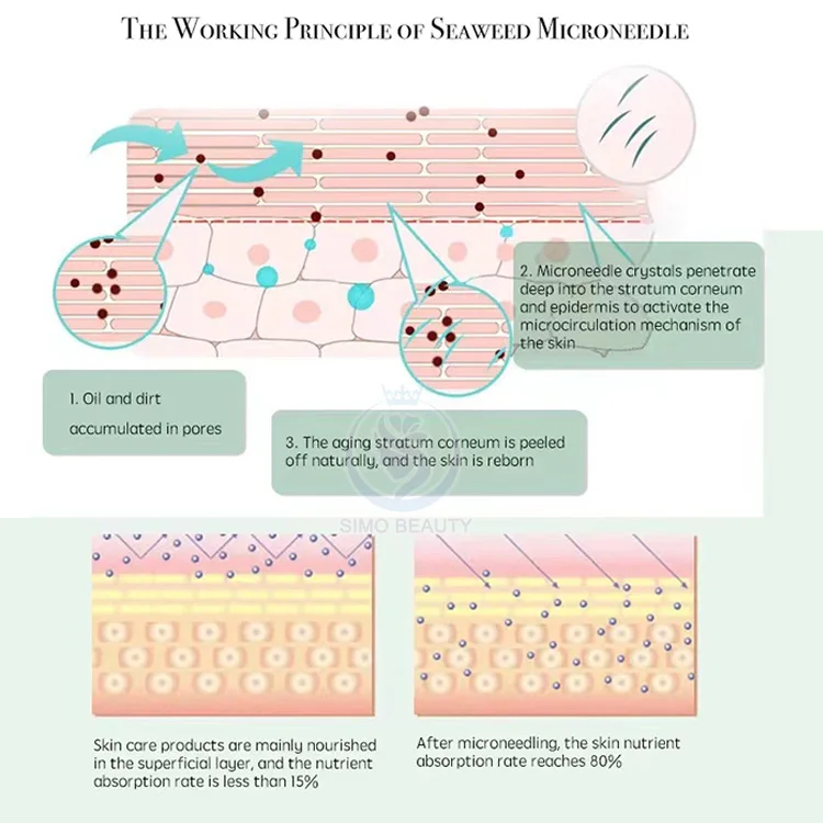 Sponge Spicule Bio-microneedling Anti Aging Sponge Female Seaweed Moisturiizng Face Skin Care Set 3 Years Female Peeling