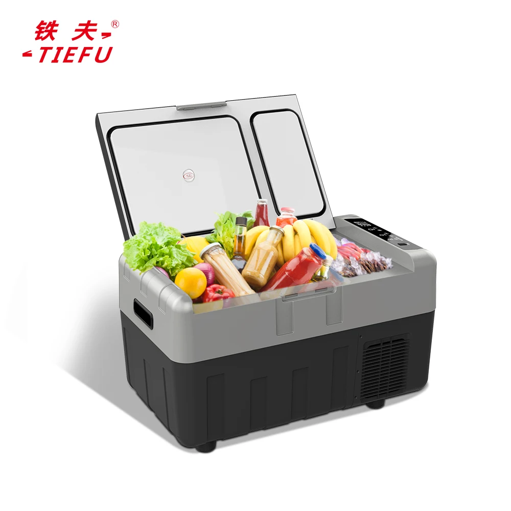Wholesale  portable small refrigerator 30L mini fridge refrigerator for car use