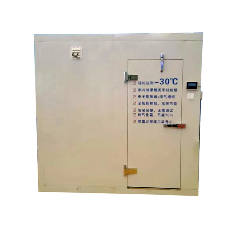 Chicken Cold Chamber With Wall Mounted Unit