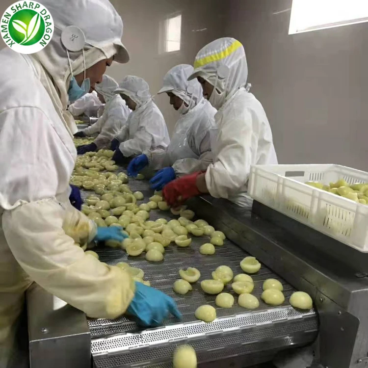 Экспорт замороженный белый персик половинки кусочки кубиками замороженные Несладкие органические Здоровые Натуральные питательные продукты