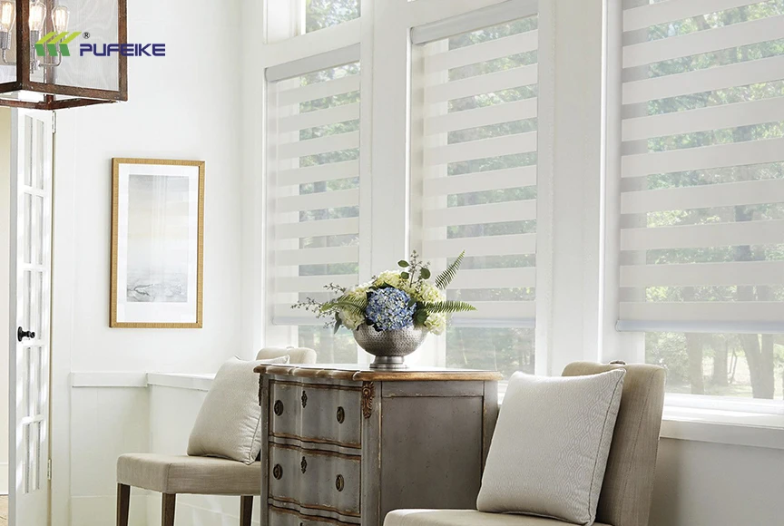 Zebra Blinds Electric Cordless and Remote-Controlled Roller Shades Blackout Fabric for French Windows Home Use Zebra Blinds