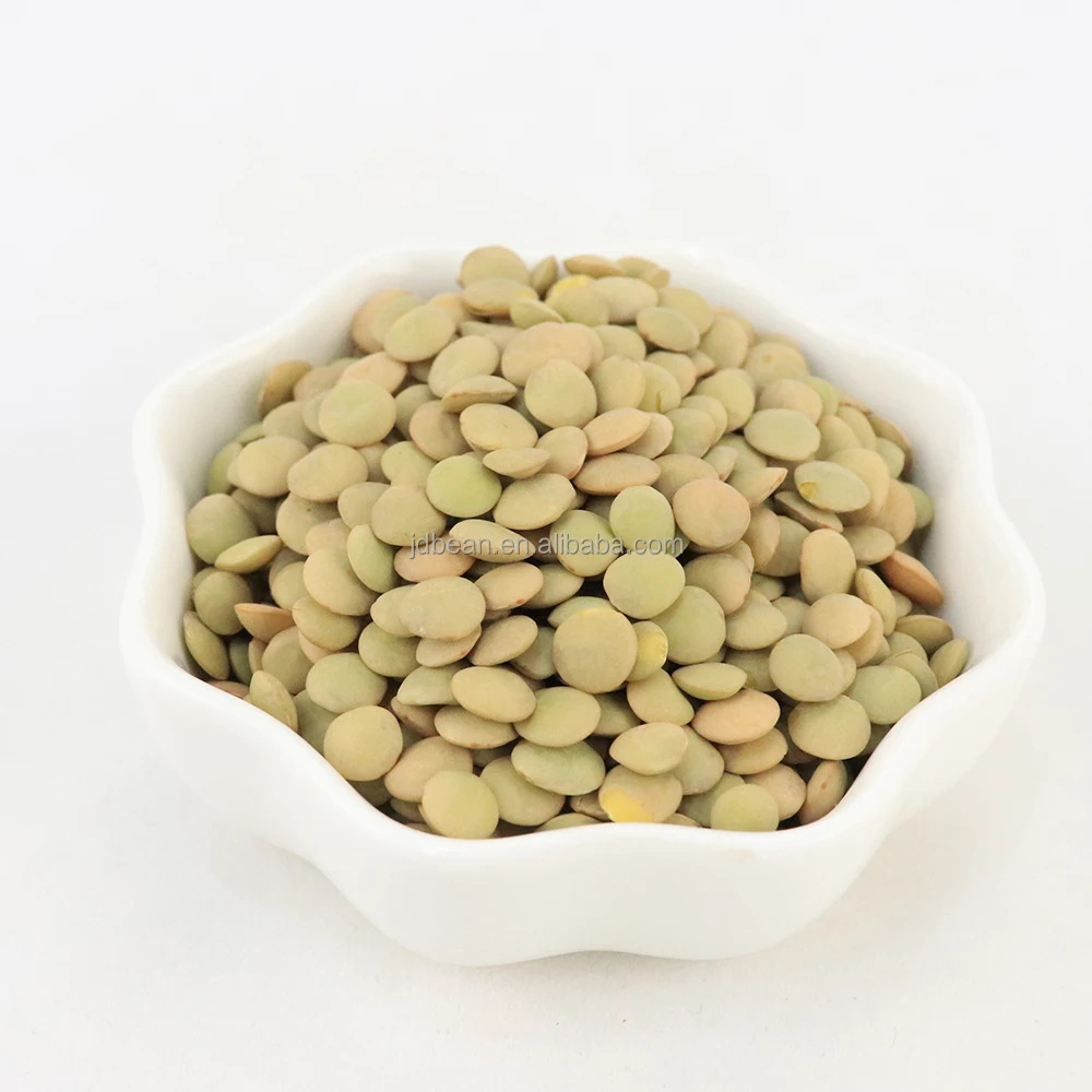 Оптовая продажа с завода сушеные зеленые линзы без