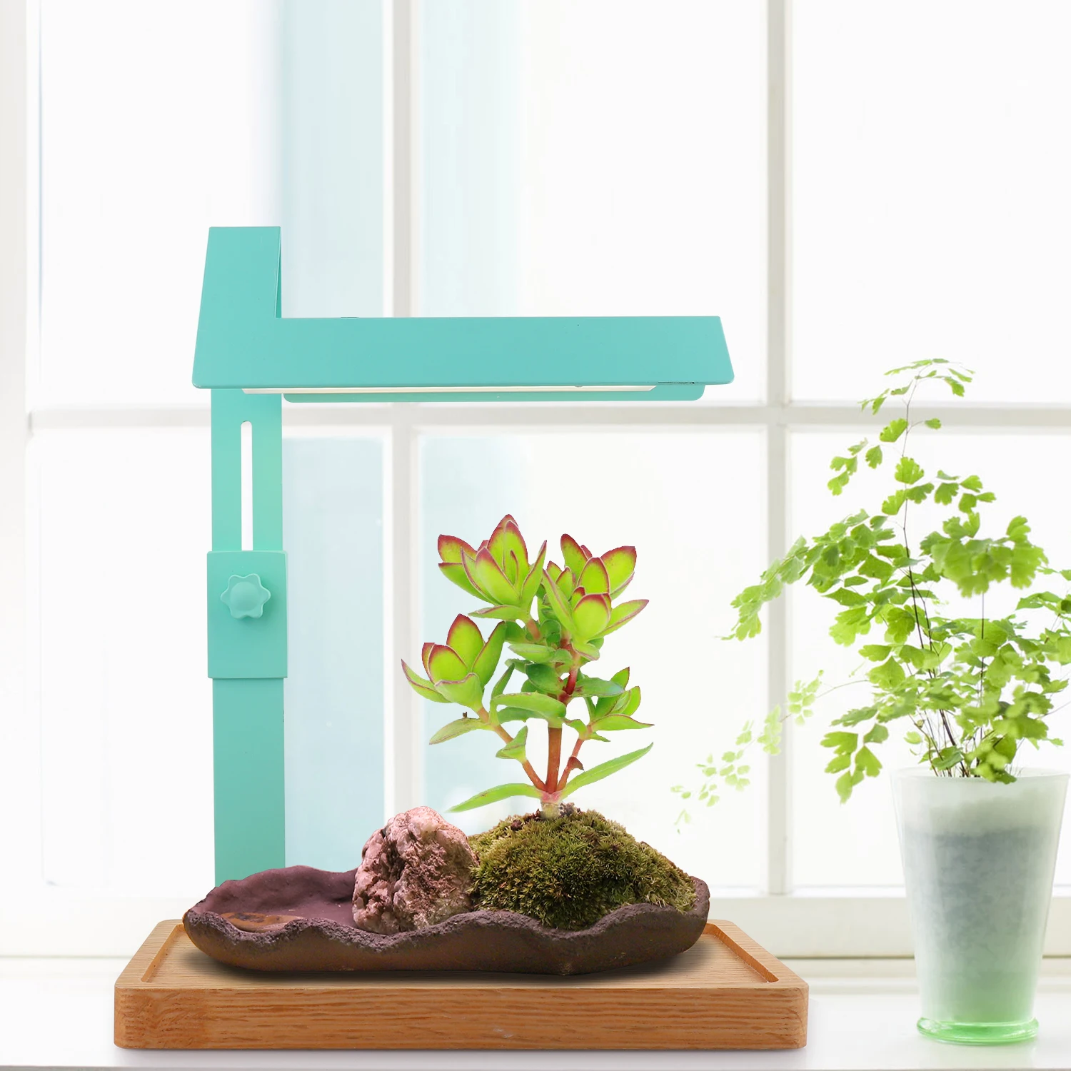 J&C  high ppfd Grow Lamp For Indoor Plants Garden Portable Grow Plant Light