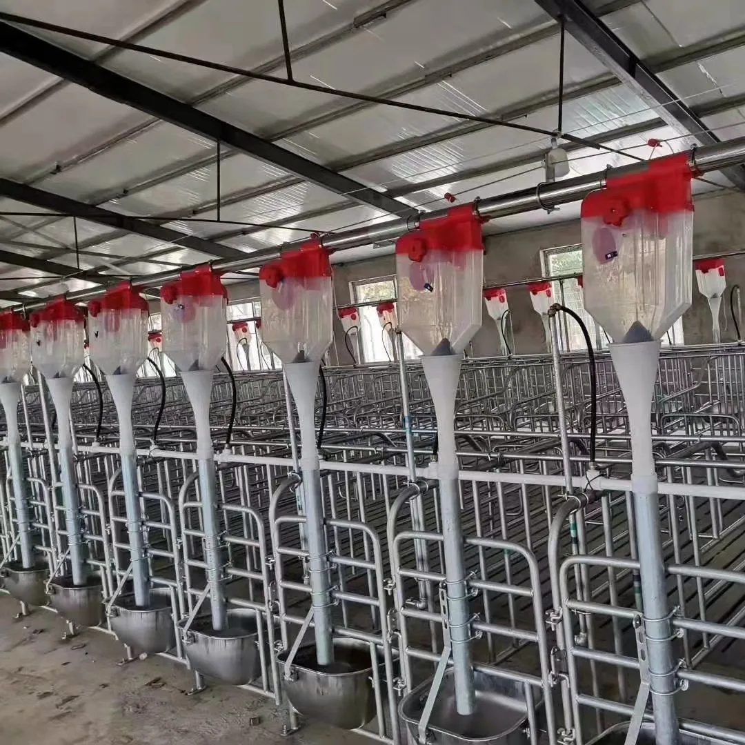 Pig Farming Equipment Sow Automatic Feeder Animal Feeding Line System