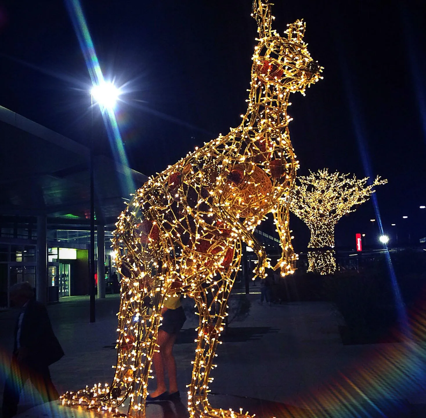 led lighted kangaroo decoration