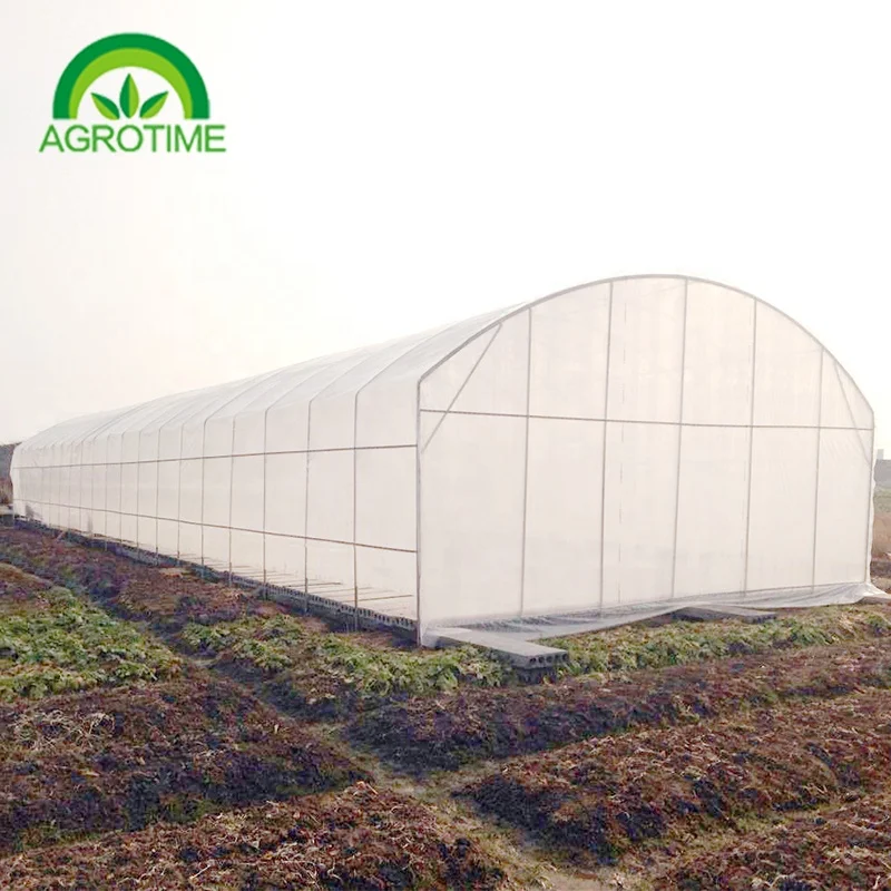 durable Chinese large poly film tunnel Galvanized Greenhouse greenhouse for sale