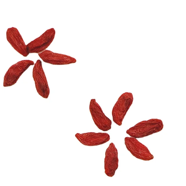 Wholesale Price Goji Berries Organic Goji Berry 1 Kg Goji Berry