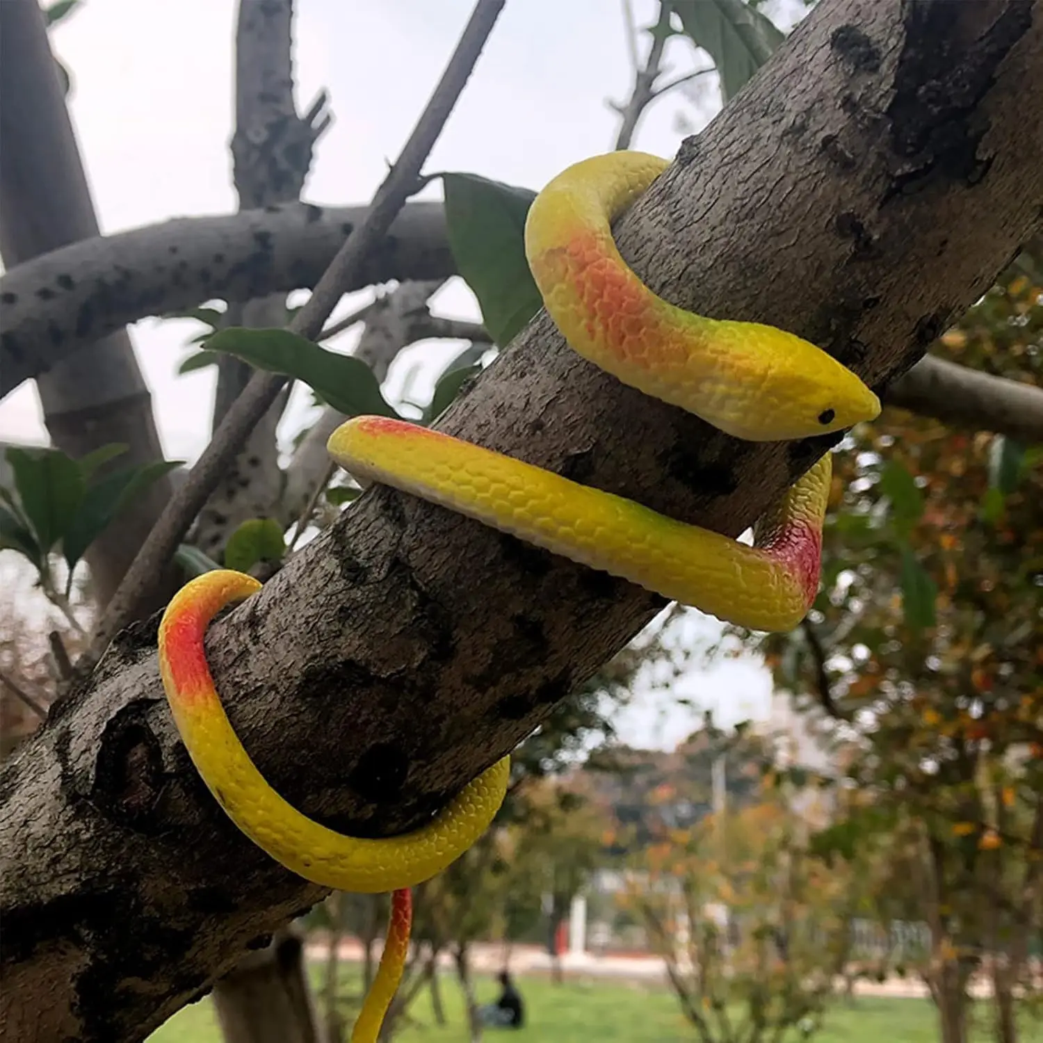 Realistic Rubber Snake for Garden, Rubber Snakes to Keep Birds/Squirrels Away