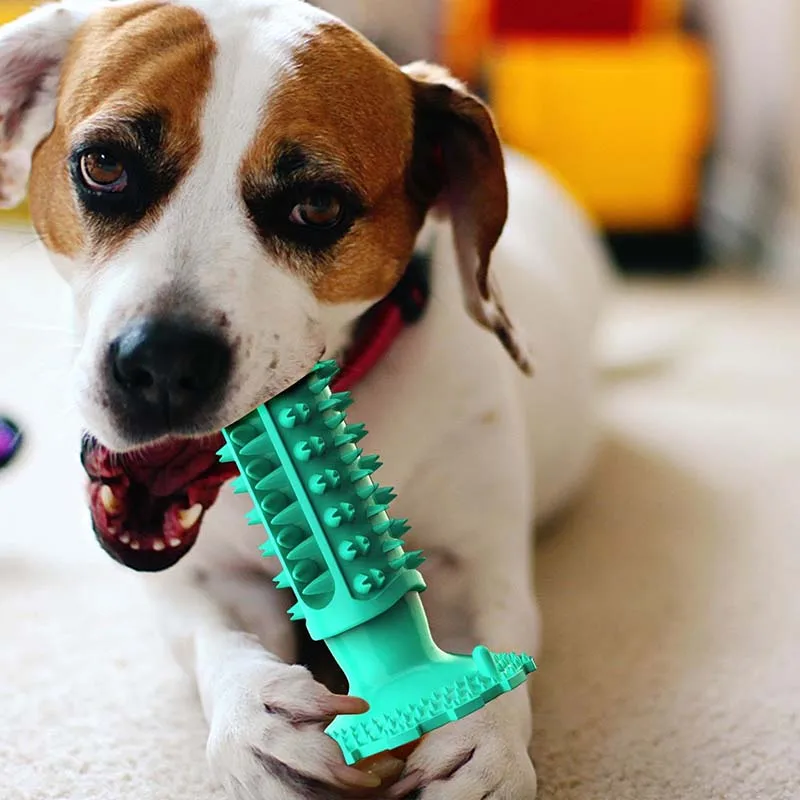 Outdoor Sports Easy to Chuck or Throw It Soft to Catch, Lightweight Disc Pet Training toys for Small Large Dogs/