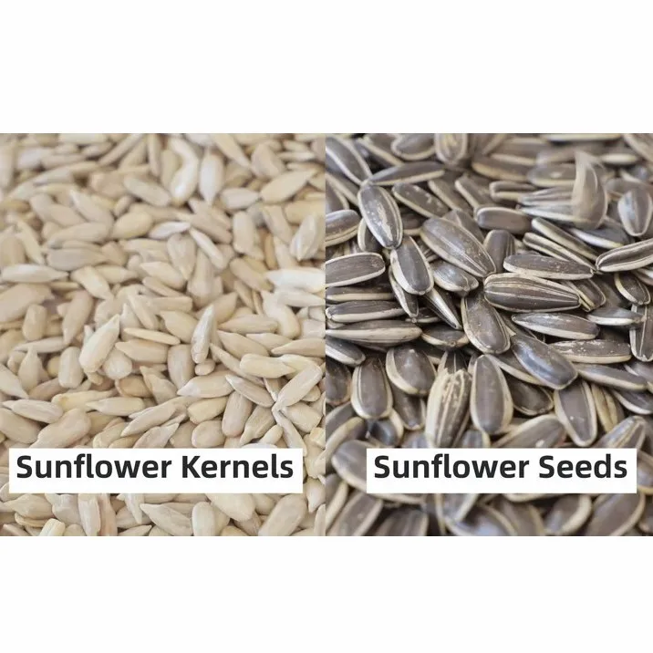 New Crop Sun Flower Seeds Dried Sunflower Kernels Nuts Raw Black Sunflower Seed Kernels Sunflower Seeds 361 100% Natural Shaanxi