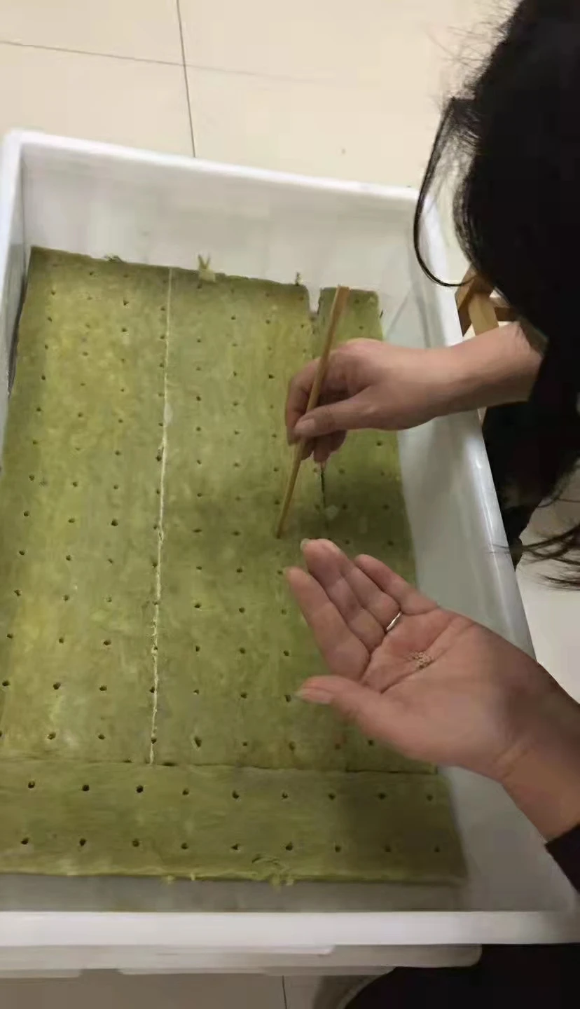 Wholesale Factory Direct Price 4 Inch Grow Block Rock Wool Hydroponic