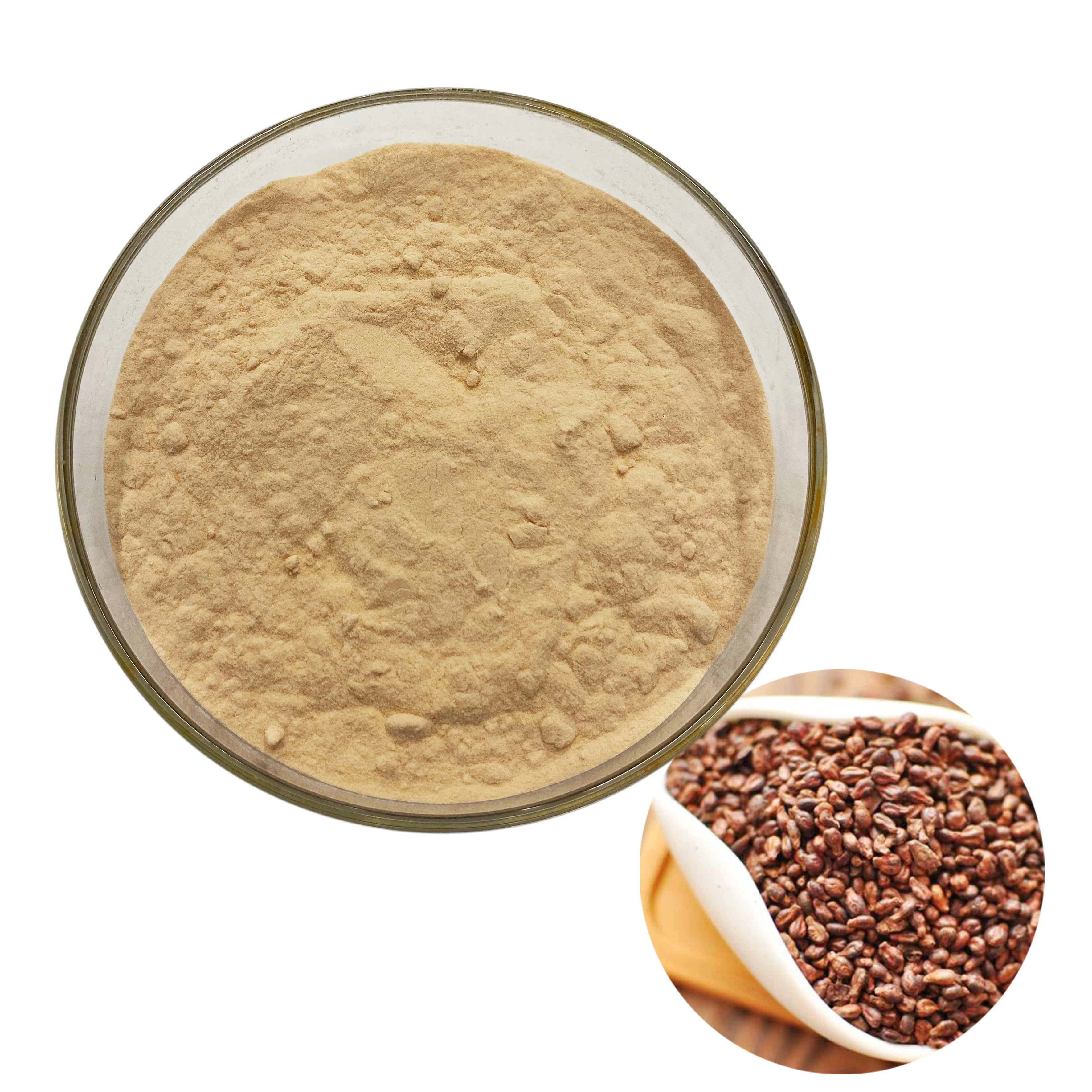 
Best price of grape seed extract 95% proanthocyanidins in Powder Water Soluble Grape Seed Extracts 