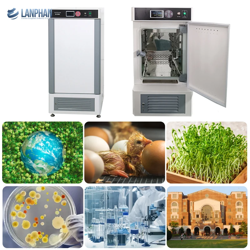 80L/150L/250L/350L/450L Biochemistry Cultivation Culture Biochemical Incubator CFC free, eco-friendly