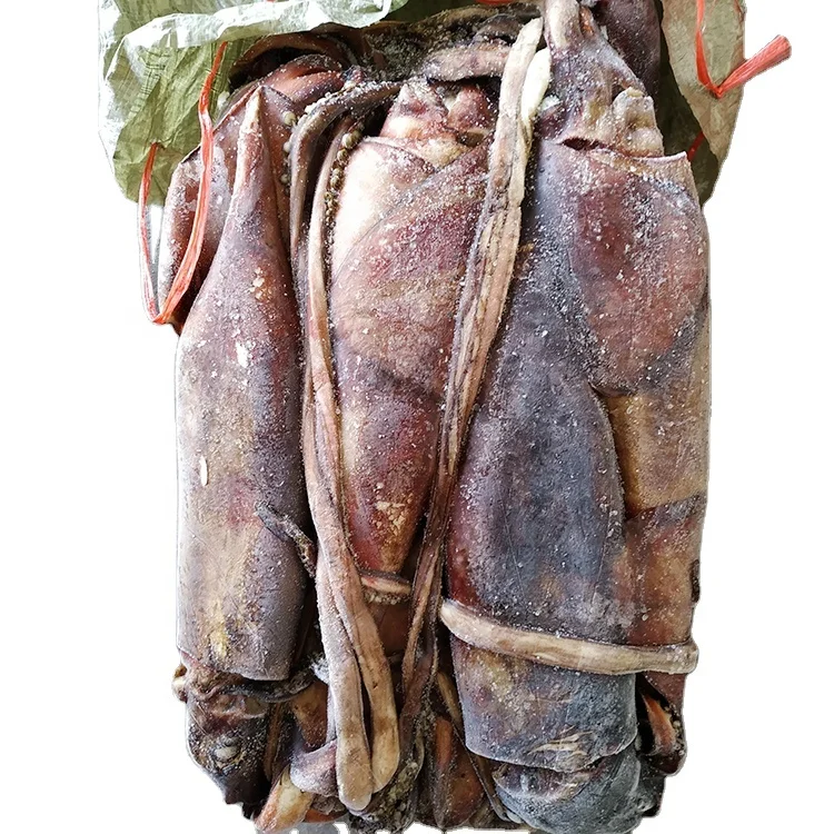 Замороженный кальмар для Индийского океана, гигантский кальмар, 2 кг выше