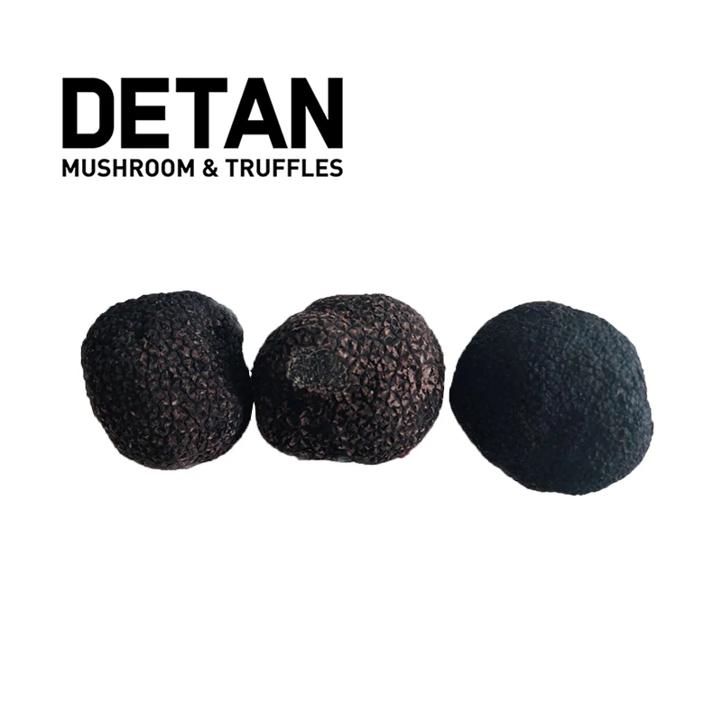 
Detan Fresh Black Truffle Mushroom Price 