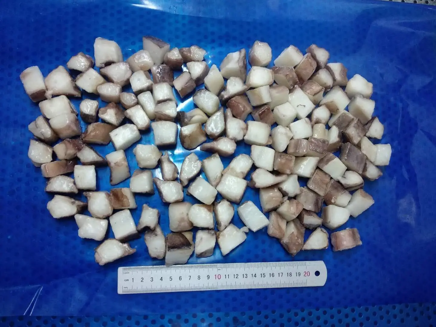 frozen seafood mix Gigas giant squid tentacle cut China Yantai seafood