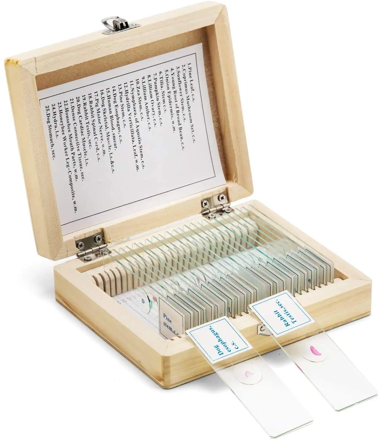 50Pcs University Microscope prepared Slides Specimens  laboratory equipment