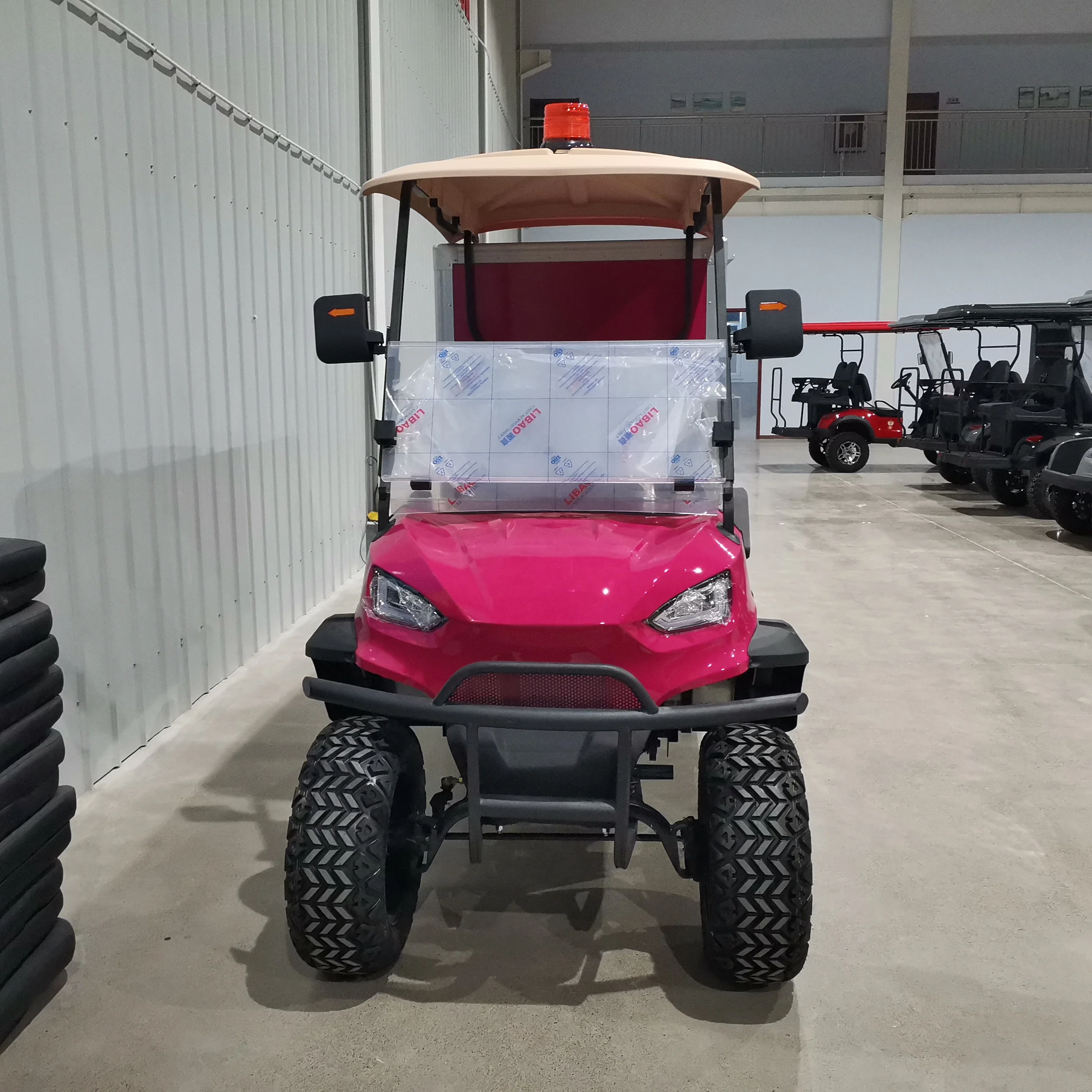 custom recreational energy vehicle car 2 seater electric golf cart buggy with Cargo Boxes