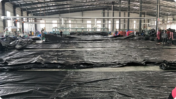 DM black tarp (26).jpg