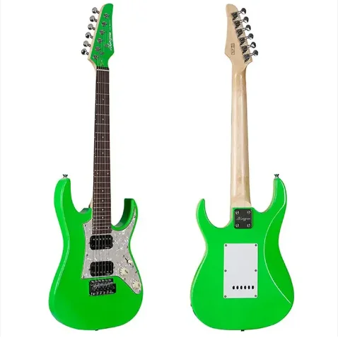 Professional electric acoustic guitar