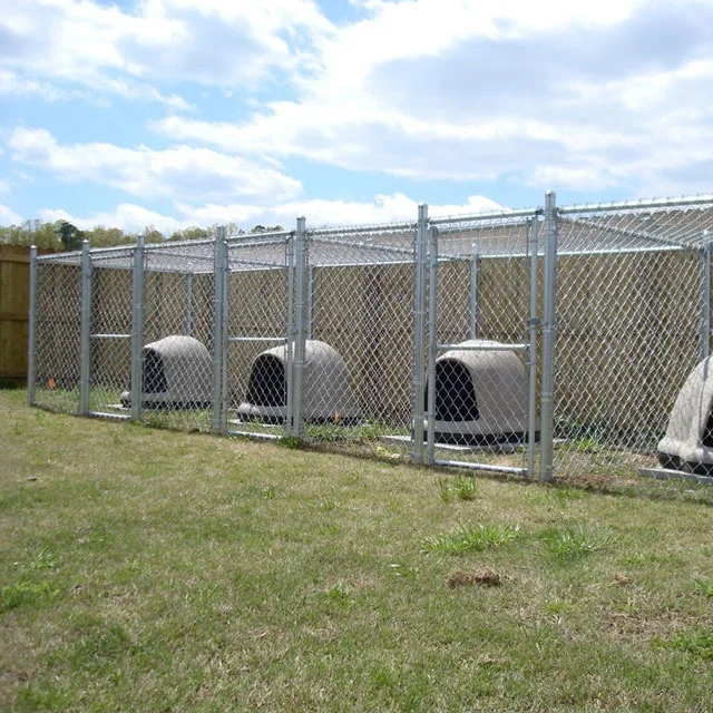  5-Run сарай ряд стиль дешевые звено цепи несколько собачьи будки