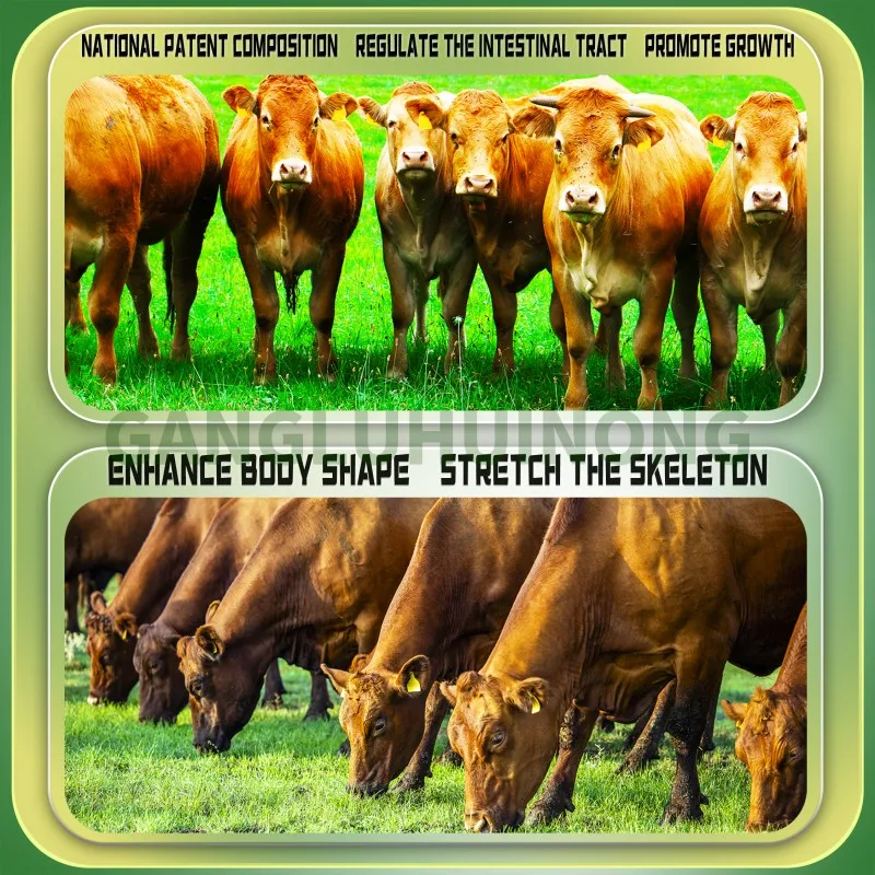 Cattle Premix Livestock Feed Additives Intestinal health for cattle and sheep