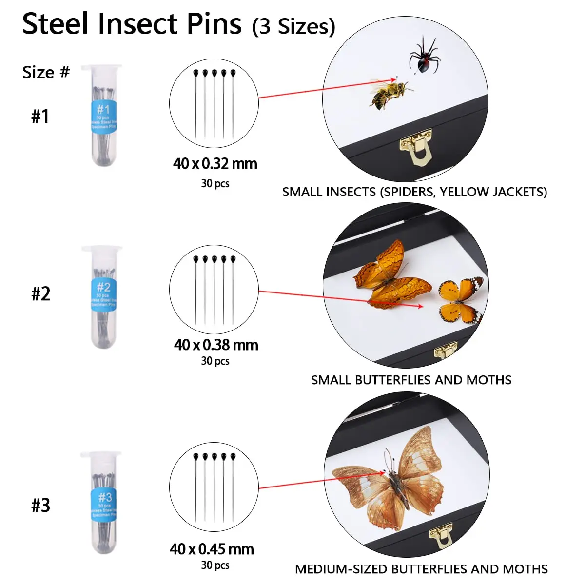 EVA Foam Board Glass Top Acrylic Clear Top Pine Wooden Insect Display Case Bug Small Glass Specimen Entomological Display Boxes