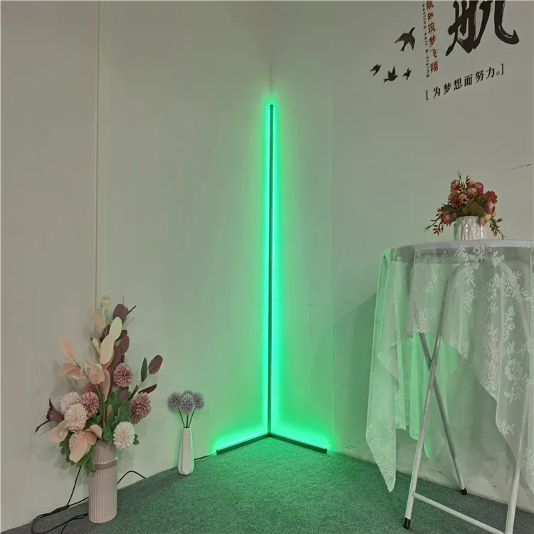 Western minimalist style RGB Colorful with remote control DC12v nordic led floor lamps standing corner