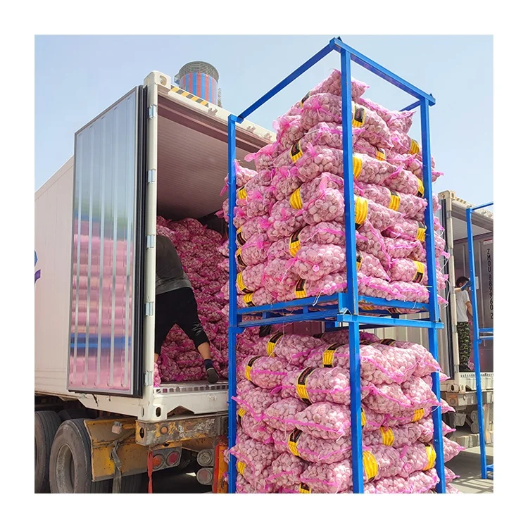 Bawang putih 4.5 cm fresh normal white garlic high quality garlic in 10/20kg mesh bags for wholesale fresh garlic supplier