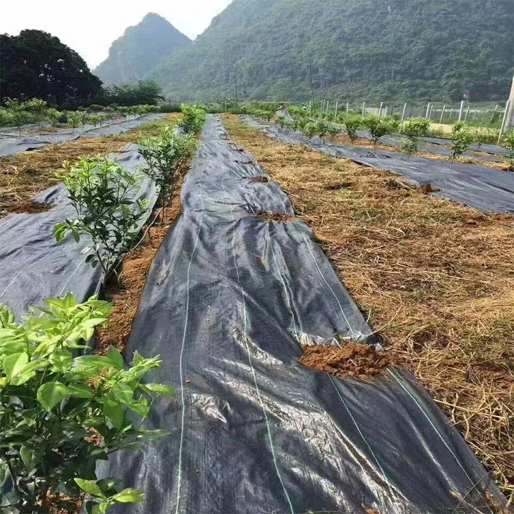 China factory Wholesale High Quality Weed Barrier Landscape Fabric Landscape Fabric Ground Cover Weed Barrier