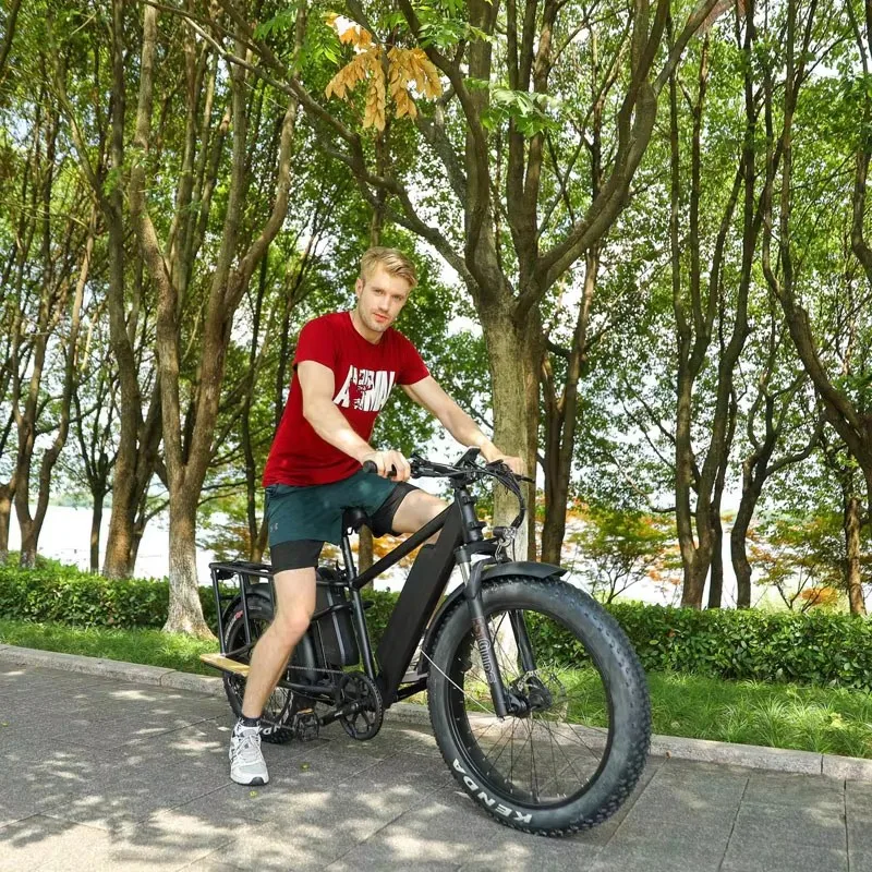 Cheap Electric Bicycle 45Km/H Electric City Bike High Quality 7 Speed Electric Fat Tire Bike Dual Motor Cargo Bike