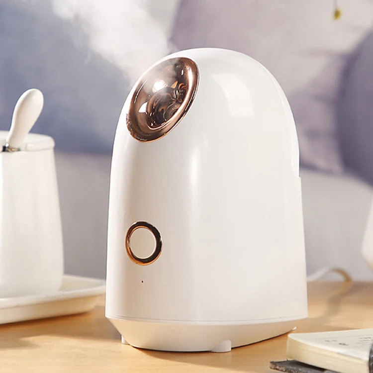 Professional Handheld ABS Fog Nozzle Hair Certificate Electric Facial Steamer Handheld Ultrasonic Mini Ultrasonic Facial Steamer