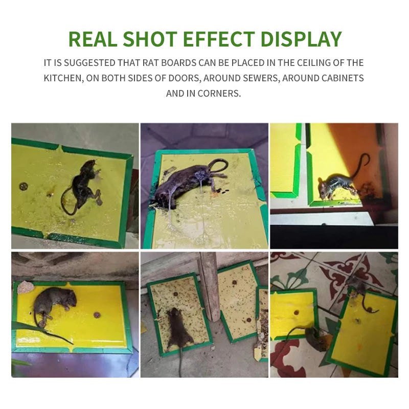 Rat Glue Trap For Kitchen Warehouse Strong Glue Mouse Catcher Harmless Paperboard Mice Sticker Killer